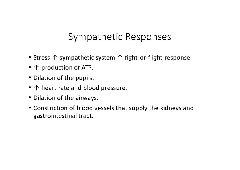 Sympathetic Responses • Stress ↑ sympathetic system ↑ fight‐or‐flight response. • ↑ production of