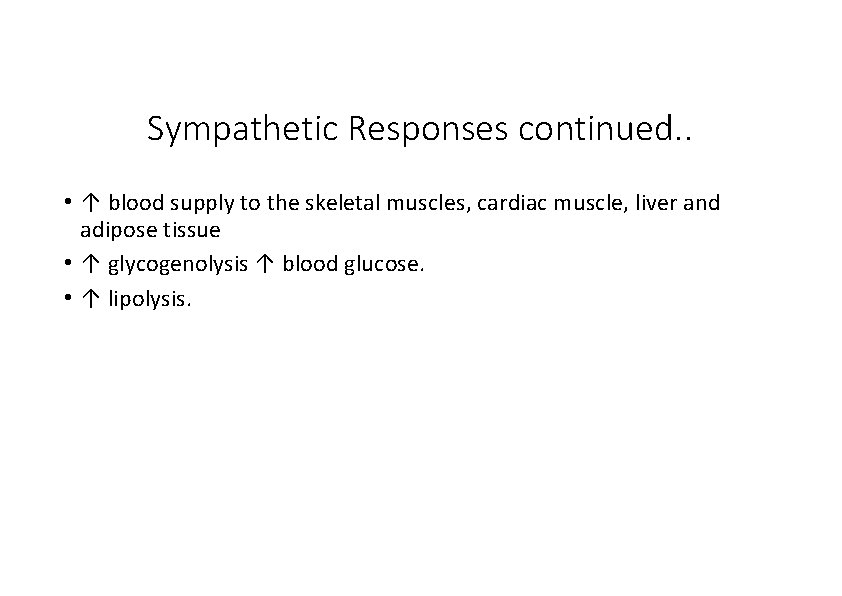 Sympathetic Responses continued. . • ↑ blood supply to the skeletal muscles, cardiac muscle,
