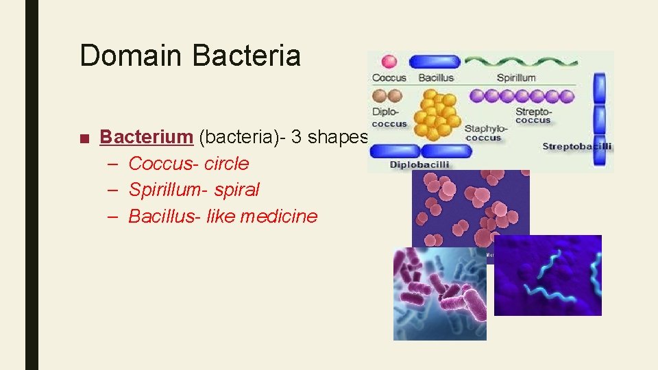Domain Bacteria ■ Bacterium (bacteria)- 3 shapes – Coccus- circle – Spirillum- spiral –