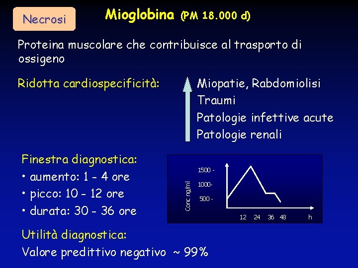 Necrosi Mioglobina (PM 18. 000 d) Proteina muscolare che contribuisce al trasporto di ossigeno