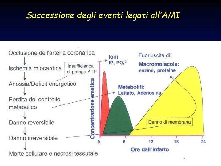 Successione degli eventi legati all’AMI 