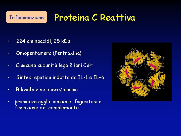 Infiammazione Proteina C Reattiva • 224 aminoacidi, 25 k. Da • Omopentamero (Pentraxina) •