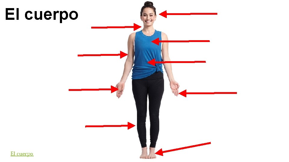 El cuerpo 