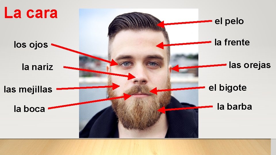 La cara los ojos la nariz las mejillas la boca el pelo la frente