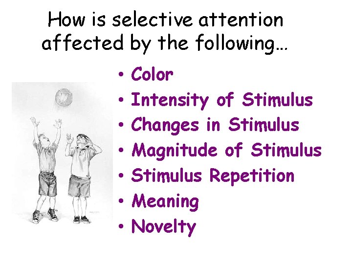 How is selective attention affected by the following… • • Color Intensity of Stimulus