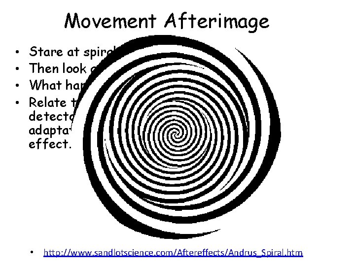 Movement Afterimage • • Stare at spiral. Then look at your hand. What happened?