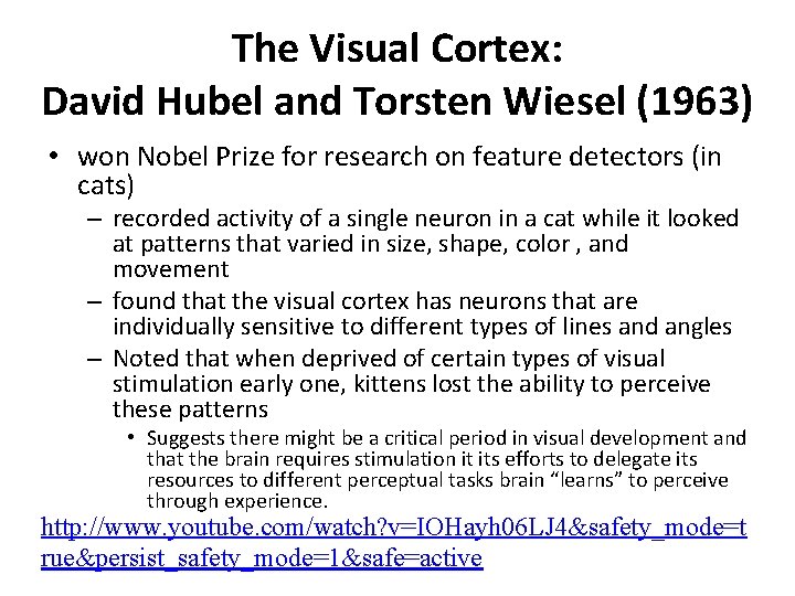 The Visual Cortex: David Hubel and Torsten Wiesel (1963) • won Nobel Prize for