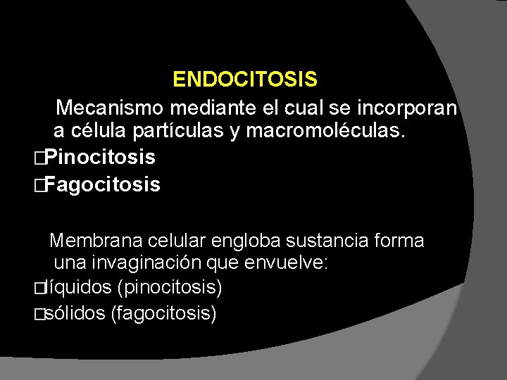 ENDOCITOSIS Mecanismo mediante el cual se incorporan a célula partículas y macromoléculas. �Pinocitosis �Fagocitosis