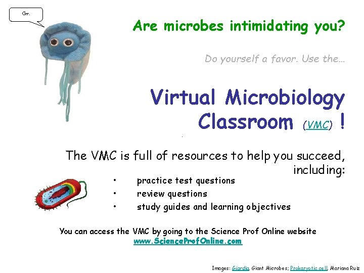 Grr. Are microbes intimidating you? Do yourself a favor. Use the… Virtual Microbiology Classroom