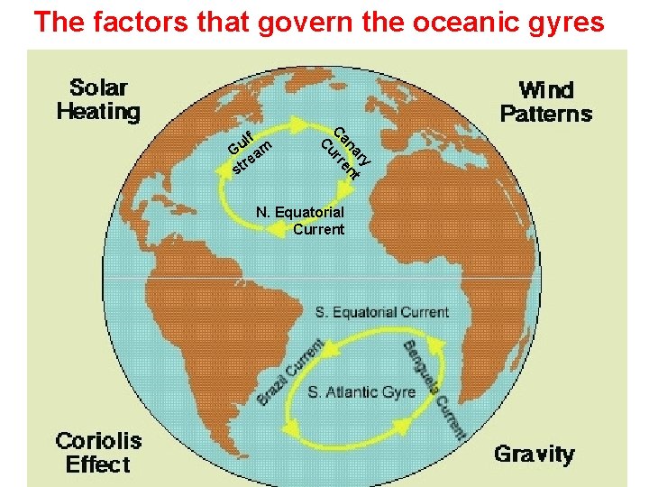 The factors that govern the oceanic gyres ry na ent Ca rr Cu lf