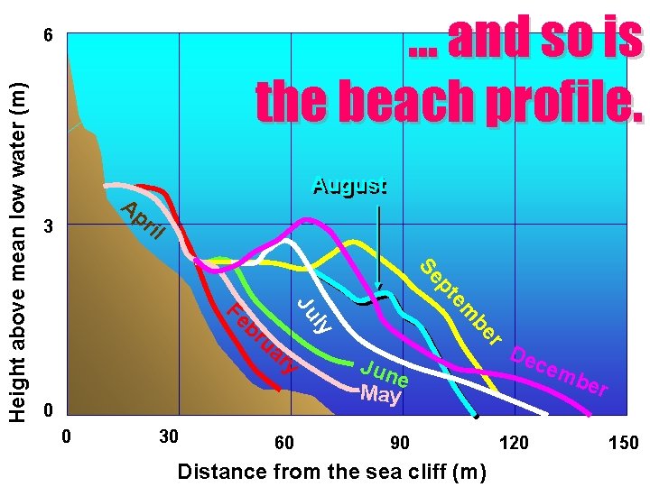 … and so is the beach profile. August Ap ril 3 60 Dec r
