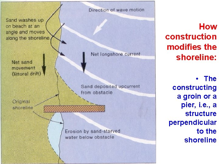 How construction modifies the shoreline: • The constructing a groin or a pier, i.