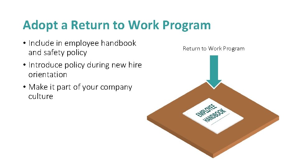 Adopt a Return to Work Program • Include in employee handbook and safety policy