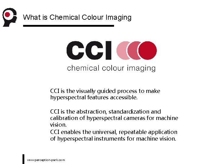 What is Chemical Colour Imaging CCI is the visually guided process to make hyperspectral