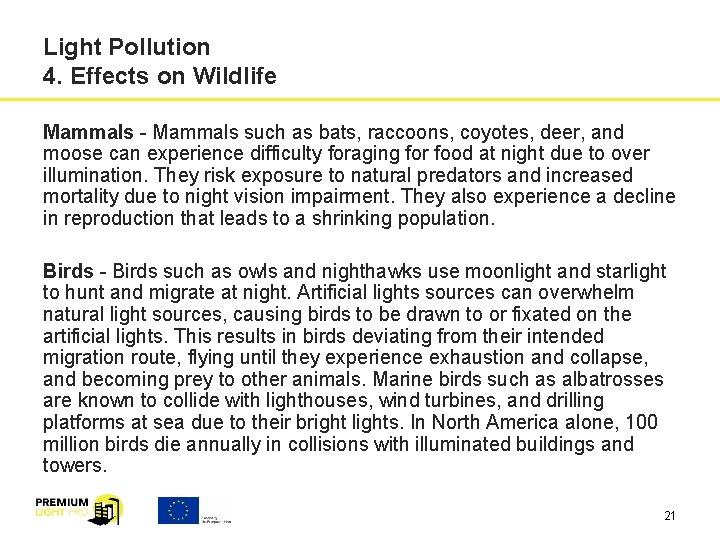 Light Pollution 4. Effects on Wildlife Mammals - Mammals such as bats, raccoons, coyotes,