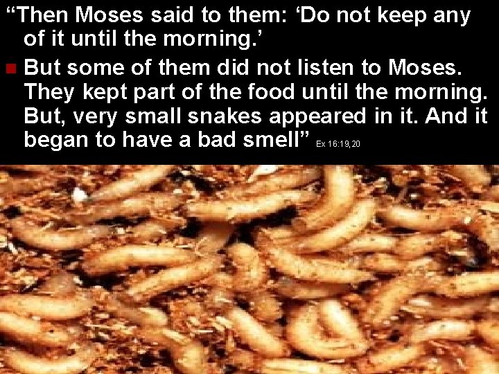 “Then Moses said to them: ‘Do not keep any of it until the morning.