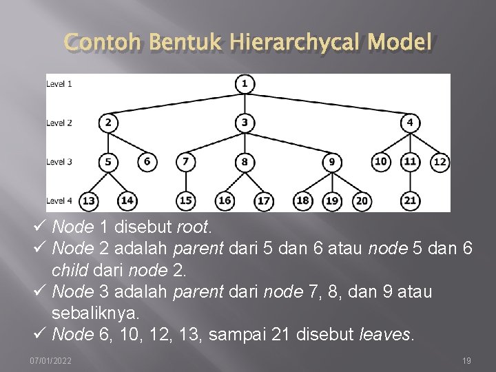 Contoh Bentuk Hierarchycal Model ü Node 1 disebut root. ü Node 2 adalah parent