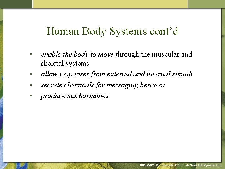Human Body Systems cont’d • • enable the body to move through the muscular