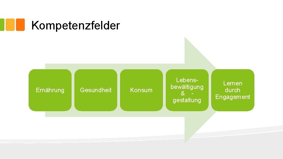 Kompetenzfelder Ernährung Gesundheit Konsum Lebensbewältigung & gestaltung Lernen durch Engagement 