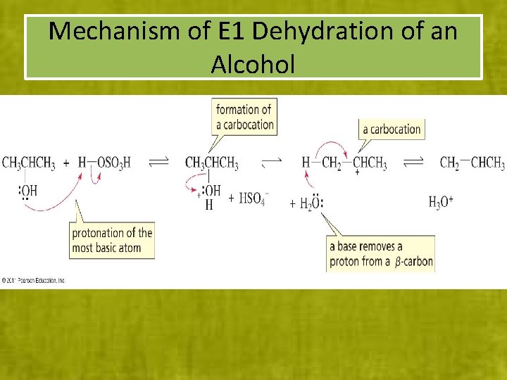 Mechanism of E 1 Dehydration of an Alcohol 