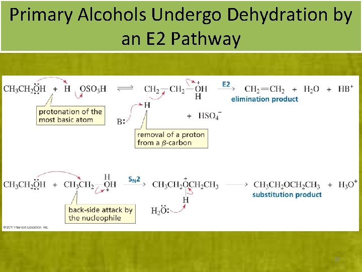 Primary Alcohols Undergo Dehydration by an E 2 Pathway 37 