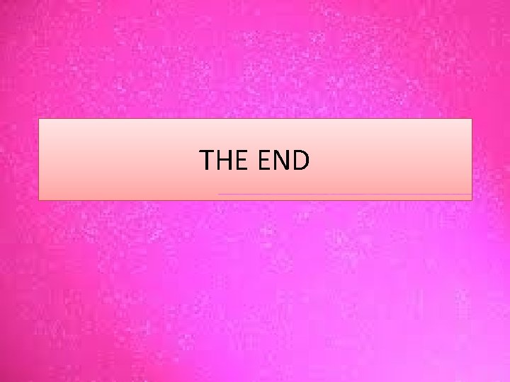 THE END 