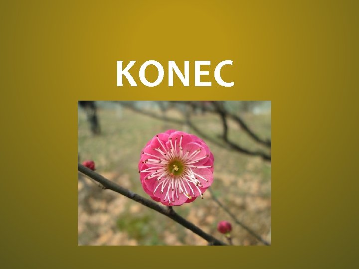 KONEC 