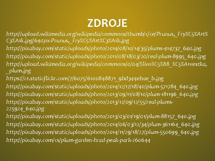 ZDROJE http: //upload. wikimedia. org/wikipedia/commons/thumb/c/ce/Prunus, _Fry%C 5%A 1 t% C 3%A 1 k. jpg/640