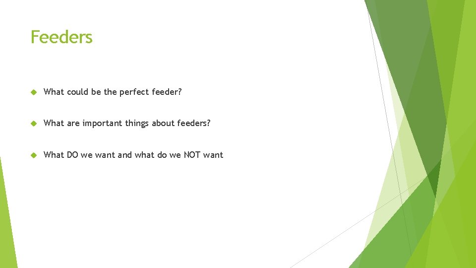 Feeders What could be the perfect feeder? What are important things about feeders? What