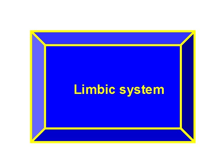 Limbic system 