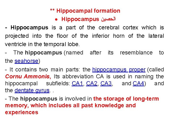 ** Hippocampal formation Hippocampus ﺍﻟﺤﺼﻴﻦ - Hippocampus is a part of the cerebral cortex