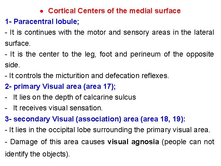 Cortical Centers of the medial surface 1 - Paracentral lobule; - It is