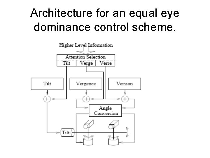 Architecture for an equal eye dominance control scheme. 