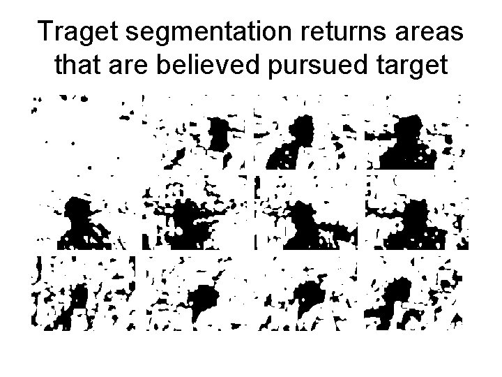 Traget segmentation returns areas that are believed pursued target 