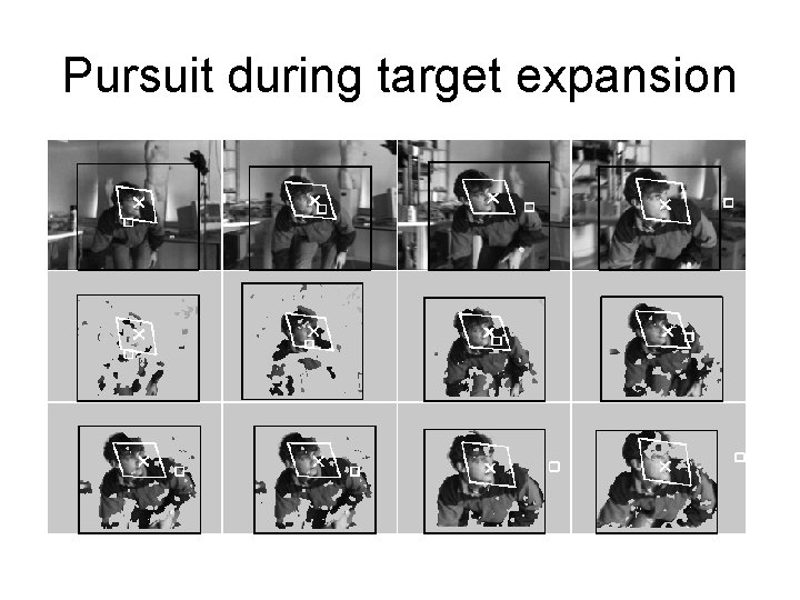 Pursuit during target expansion 