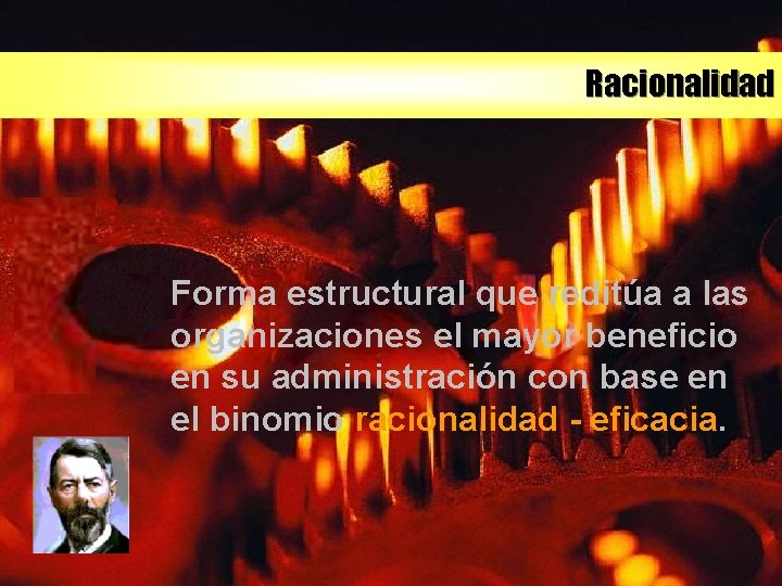 Racionalidad Forma estructural que reditúa a las organizaciones el mayor beneficio en su administración