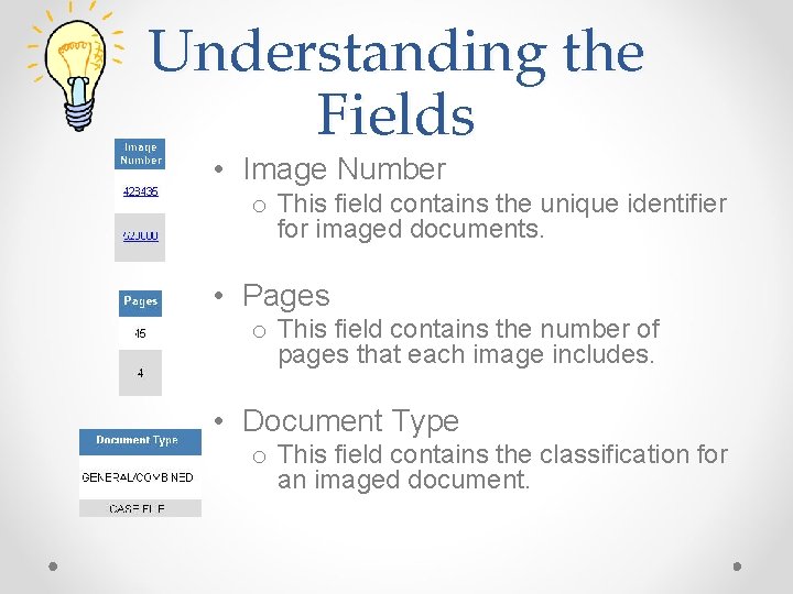 Understanding the Fields • Image Number o This field contains the unique identifier for