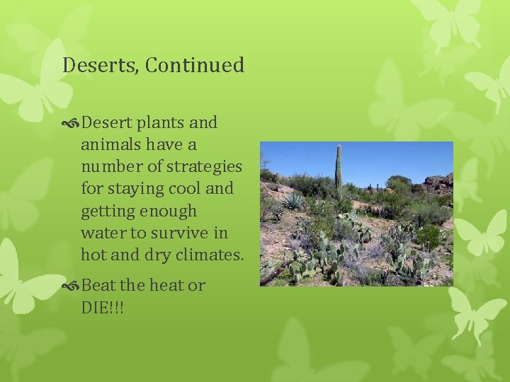 Deserts, Continued Desert plants and animals have a number of strategies for staying cool