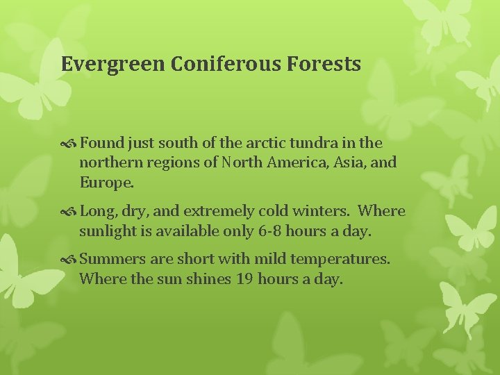 Evergreen Coniferous Forests Found just south of the arctic tundra in the northern regions