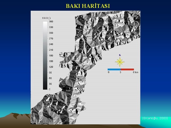 BAKI HARİTASI (Ercanoğlu, 2003) 