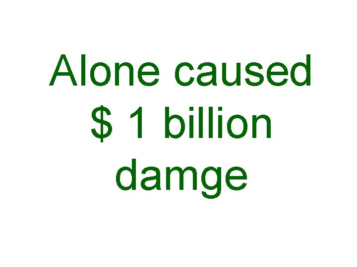 Alone caused $ 1 billion damge 