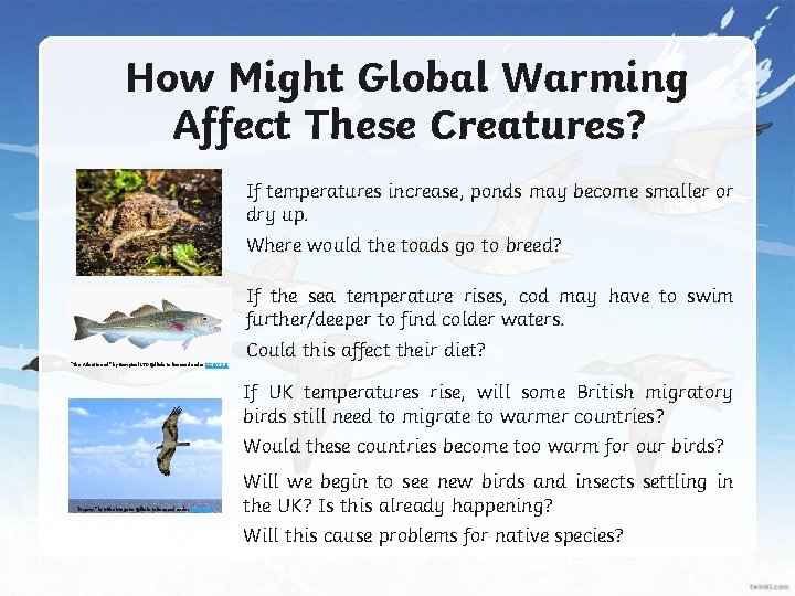 How Might Global Warming Affect These Creatures? If temperatures increase, ponds may become smaller