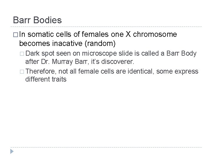 Barr Bodies � In somatic cells of females one X chromosome becomes inacative (random)