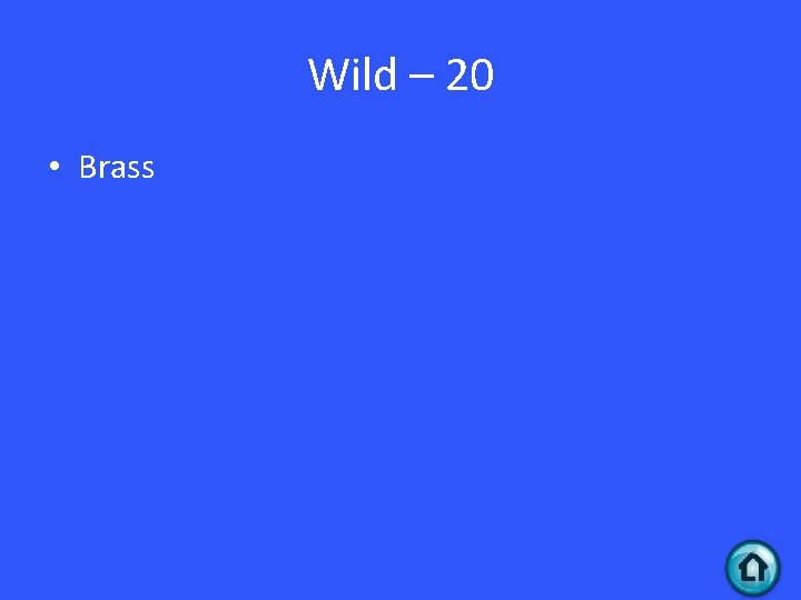 Wild – 20 • Brass 