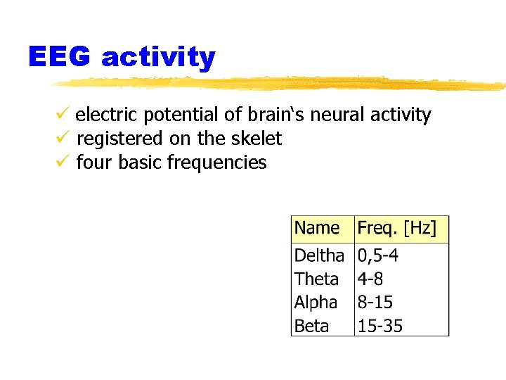 EEG activity ü electric potential of brain‘s neural activity ü registered on the skelet