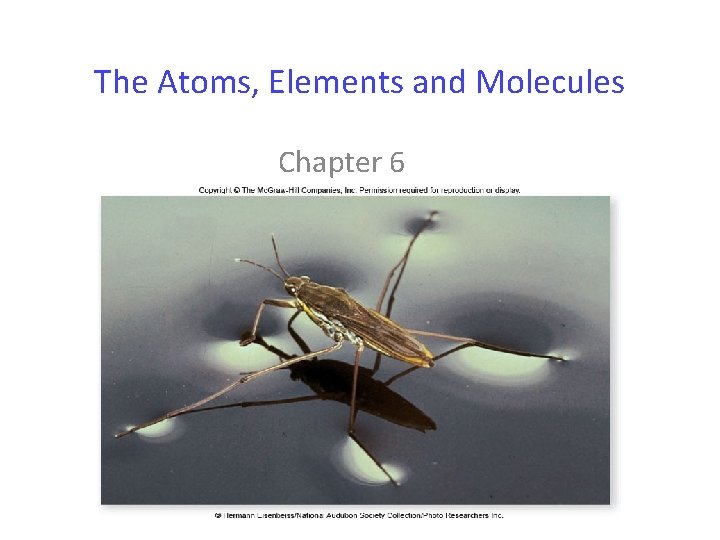 The Atoms, Elements and Molecules Chapter 6 