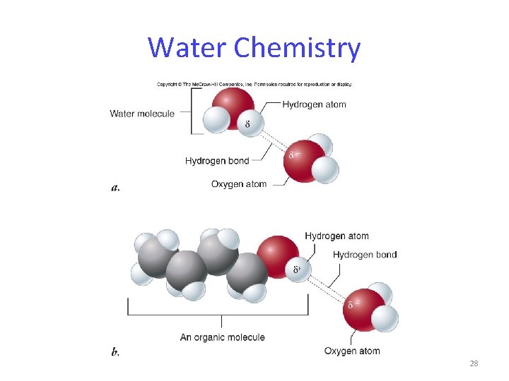 Water Chemistry 28 