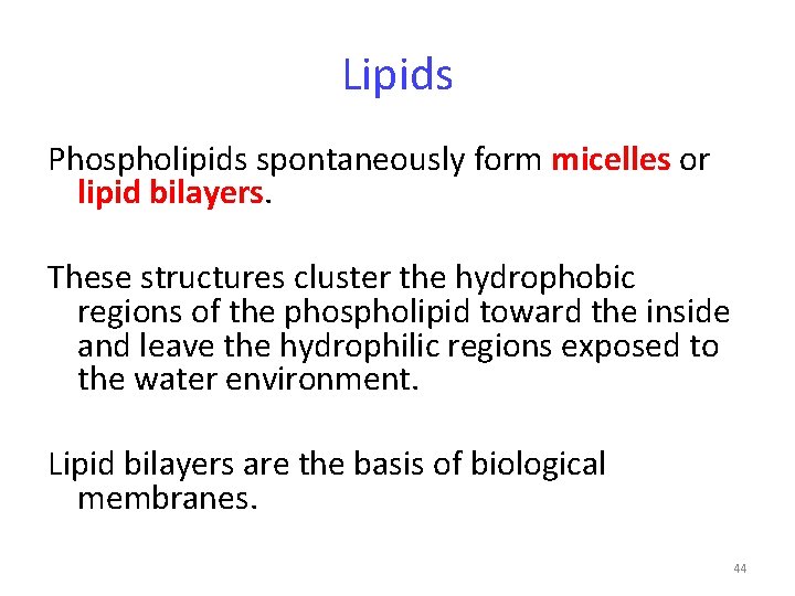 Lipids Phospholipids spontaneously form micelles or lipid bilayers. These structures cluster the hydrophobic regions
