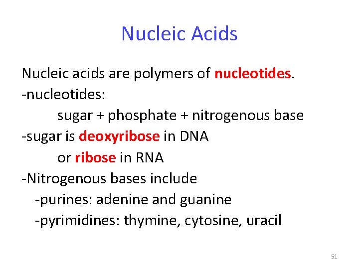 Nucleic Acids Nucleic acids are polymers of nucleotides. -nucleotides: sugar + phosphate + nitrogenous