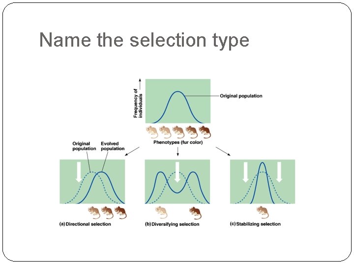 Name the selection type 